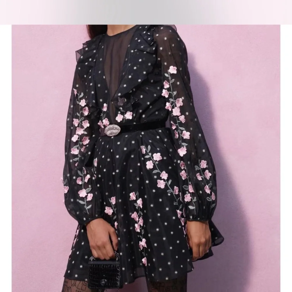 Giambattista Valli x HM H&M Dress with Embroidery Black US Size 6 2